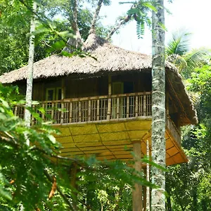 Kalidasa Tree House And Villa, Wayanad , Chegat India