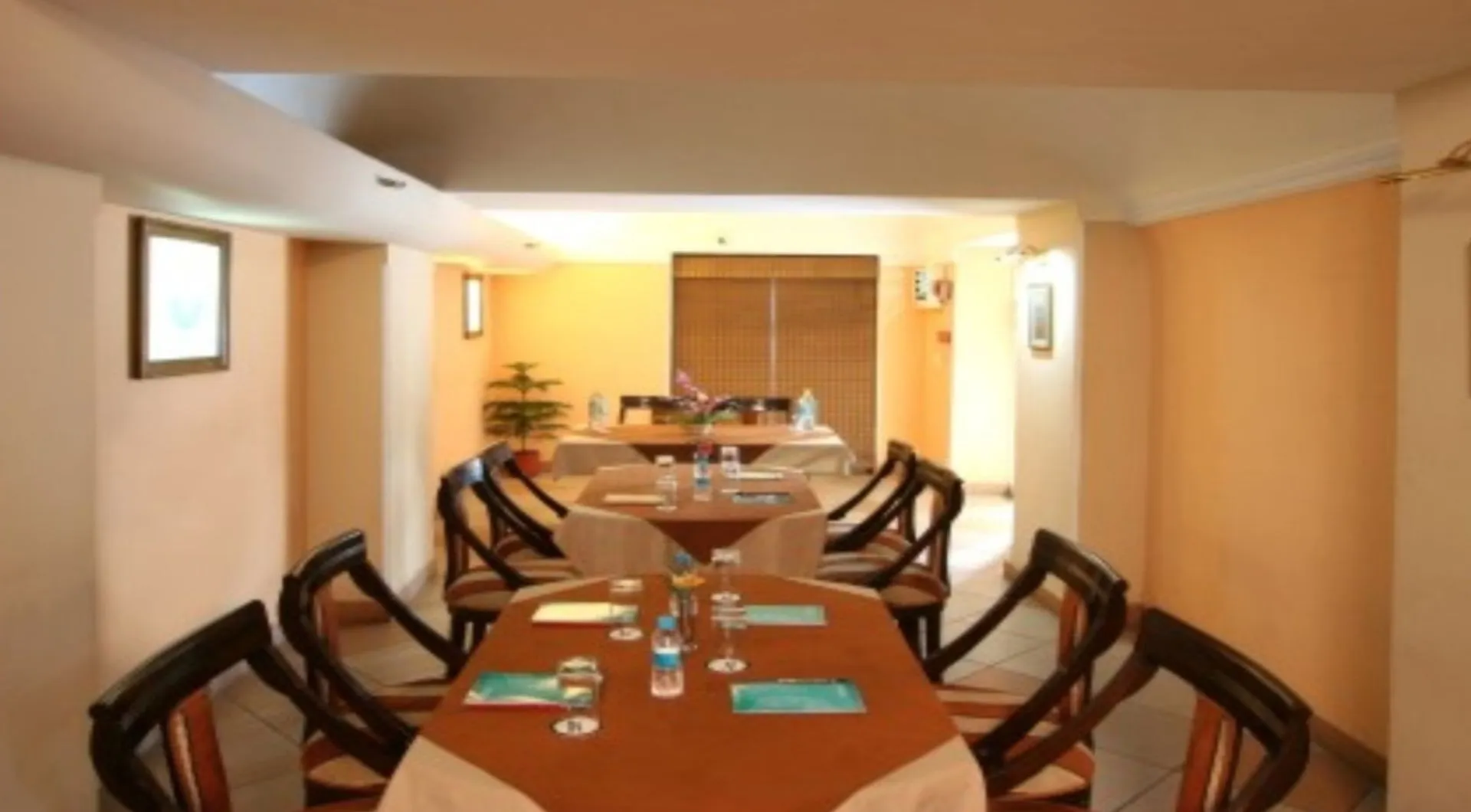 Airport Hotel Nowe Delhi